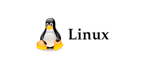 Установка Linux